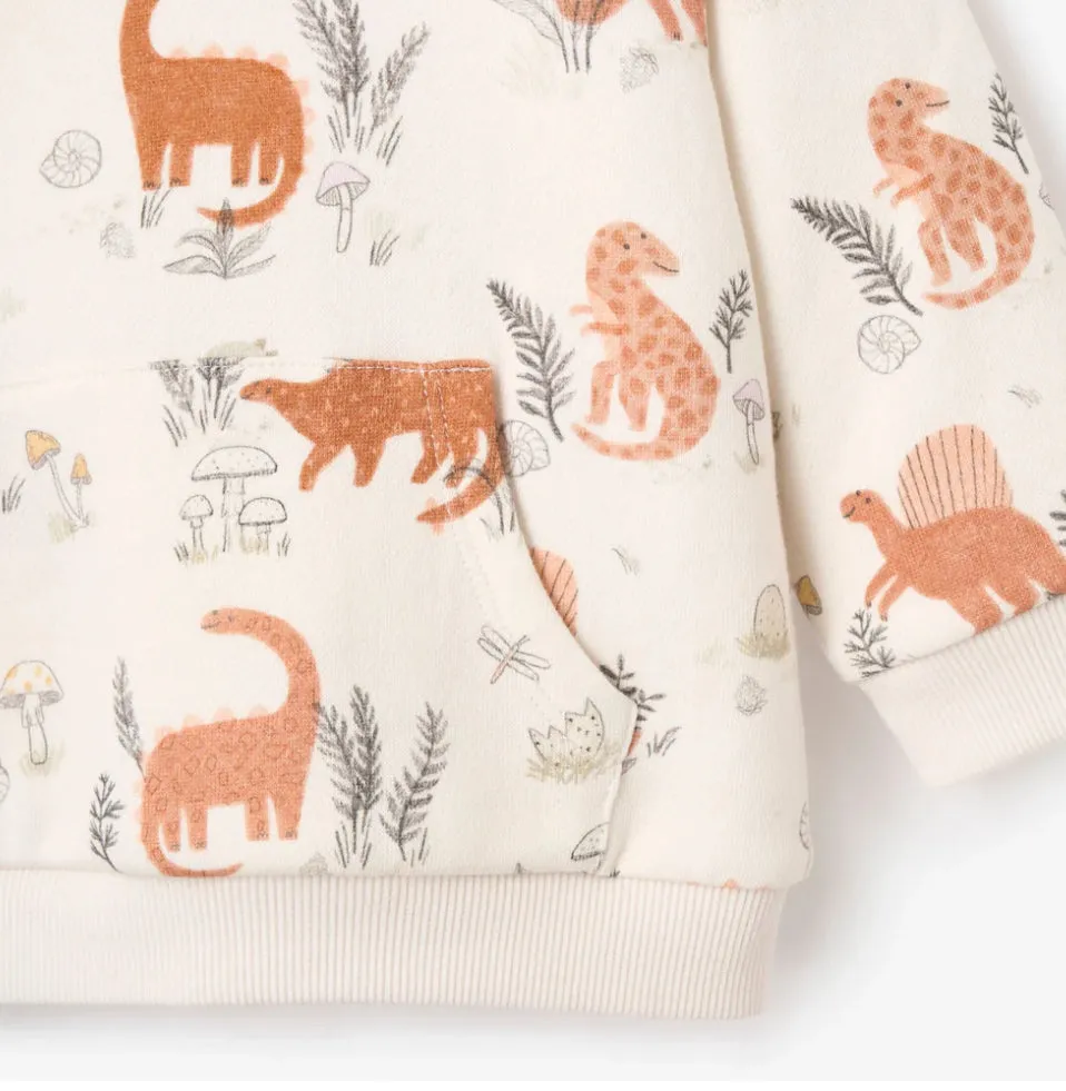 Organic Dinosaur Print Fleece Hoodie and Jogger Pants 3-6 months
